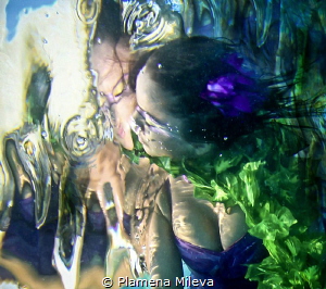 The kiss by Plamena Mileva 